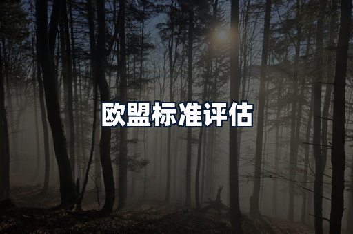 欧盟标准评估